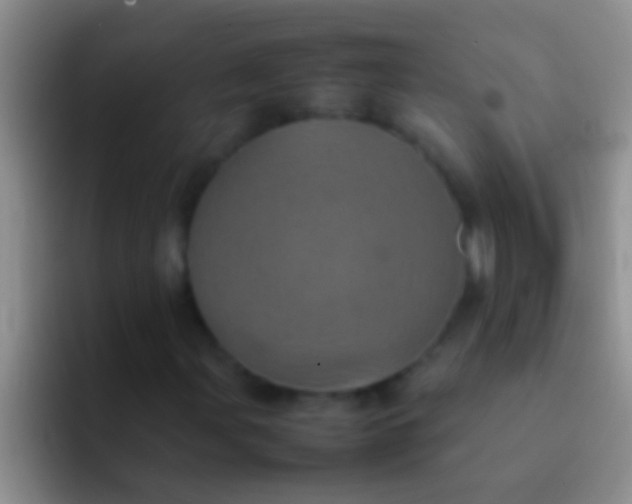 X0000092091107200709262118