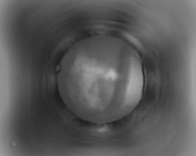 X0000092091111200709262118