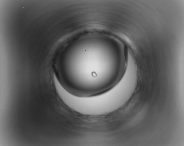 X0000092091112200709262118