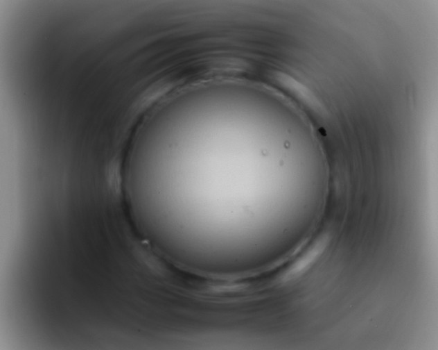 X0000092091113200709262118