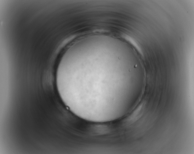 X0000092091115200709262118