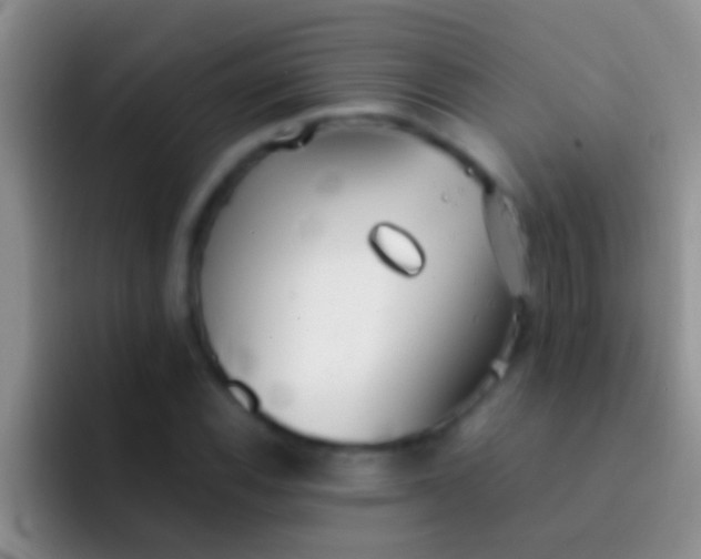 X0000092091116200709262118