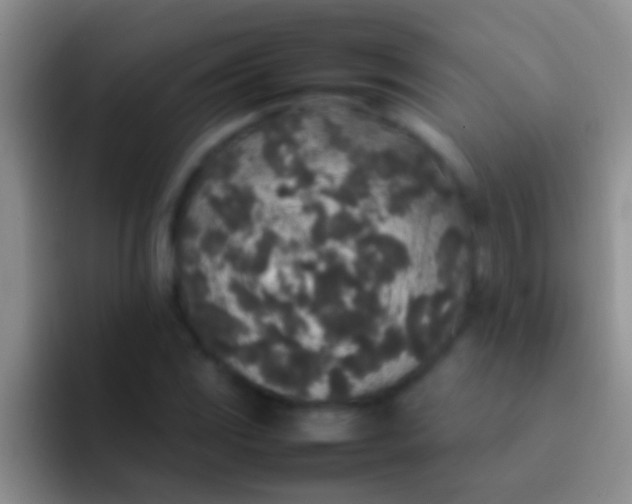 X0000092091117200709262118