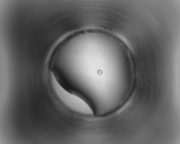 X0000092091118200709262118