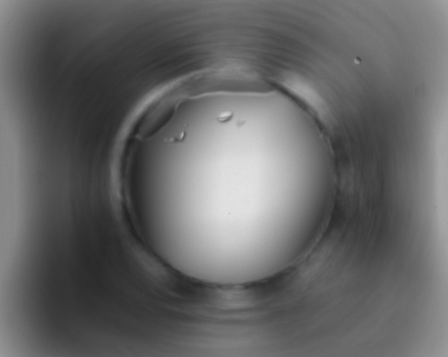 X0000092091120200709262118