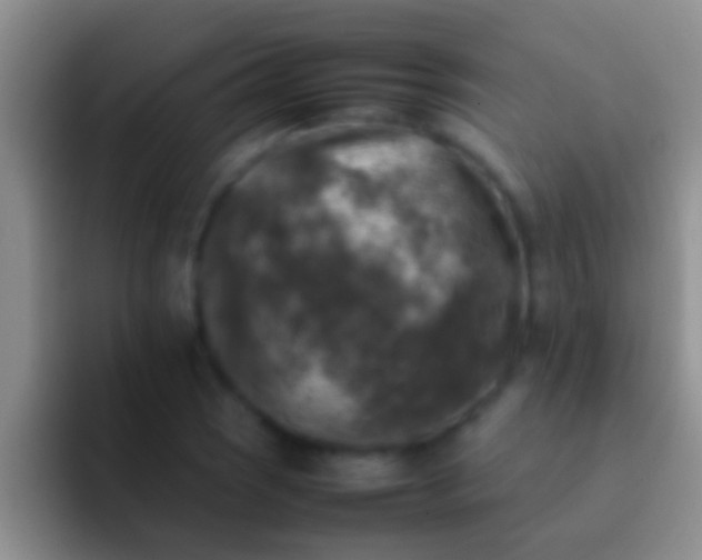 X0000092091121200709262118
