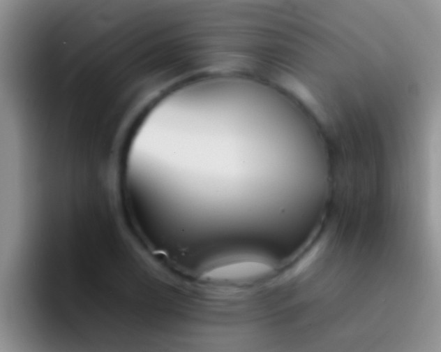 X0000092091122200709262118