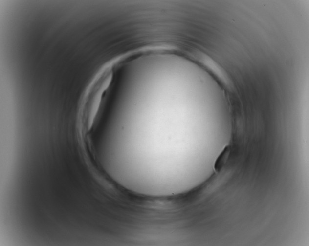X0000092091124200709262118