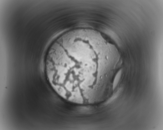 X0000092091125200709262118