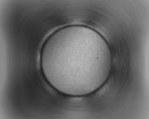 X0000092091126200709262118