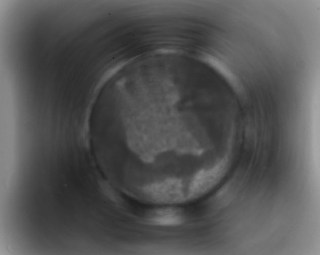 X0000092091129200709262118
