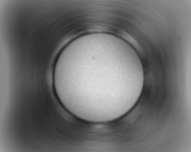 X0000092091130200709262118