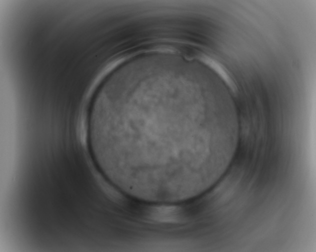 X0000092091131200709262118