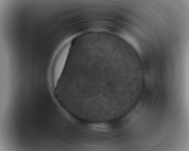 X0000092091133200709262118