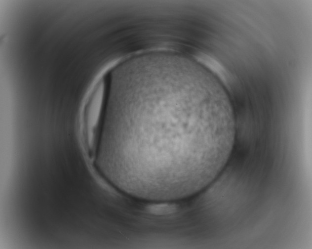 X0000092091135200709262118
