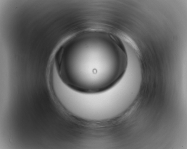 X0000092091138200709262118