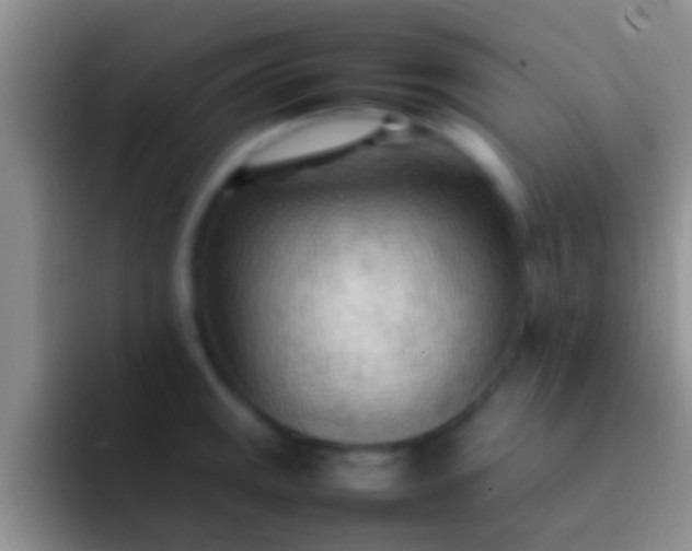 X0000092091141200709262118