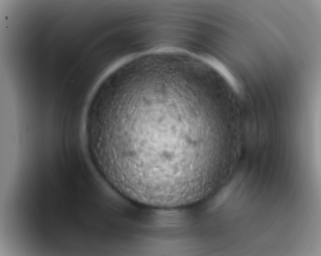 X0000092091142200709262118