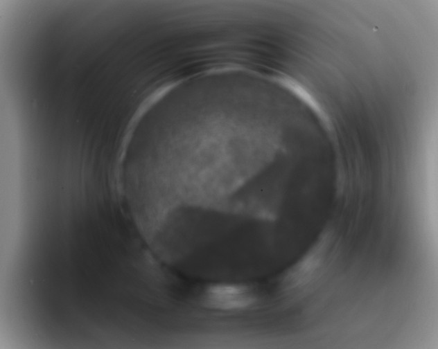 X0000092091145200709262118