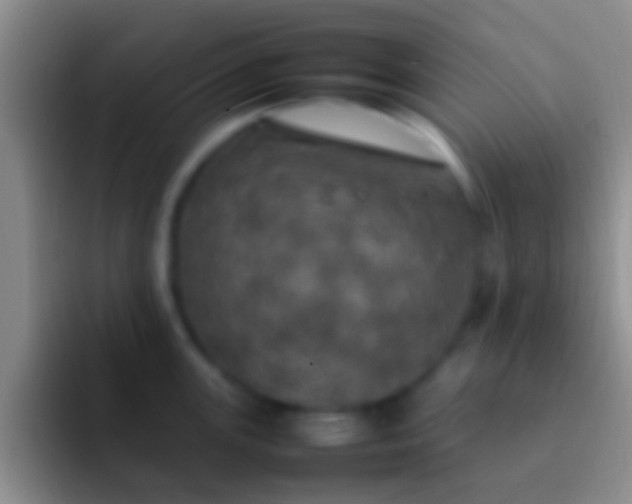 X0000092091147200709262118