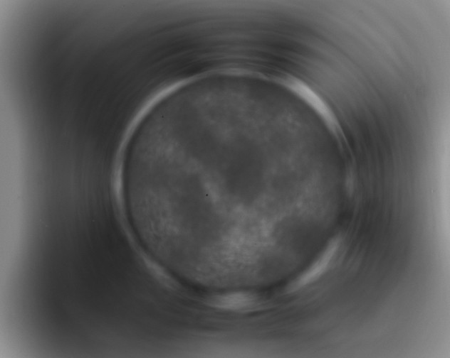 X0000092091149200709262118
