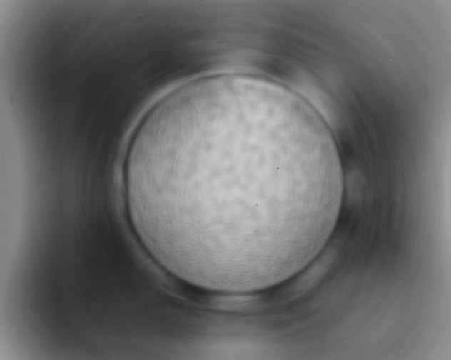 X0000092091150200709262118