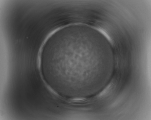 X0000092091151200709262118
