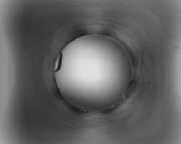 X0000092091153200709262118
