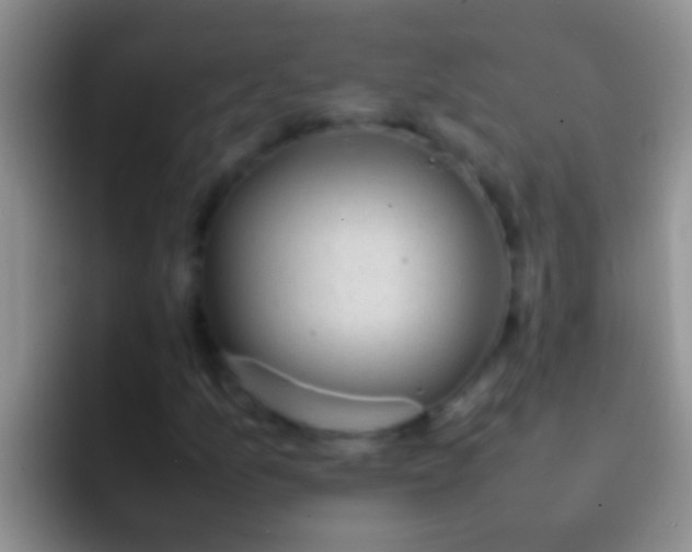X0000092091157200709262118
