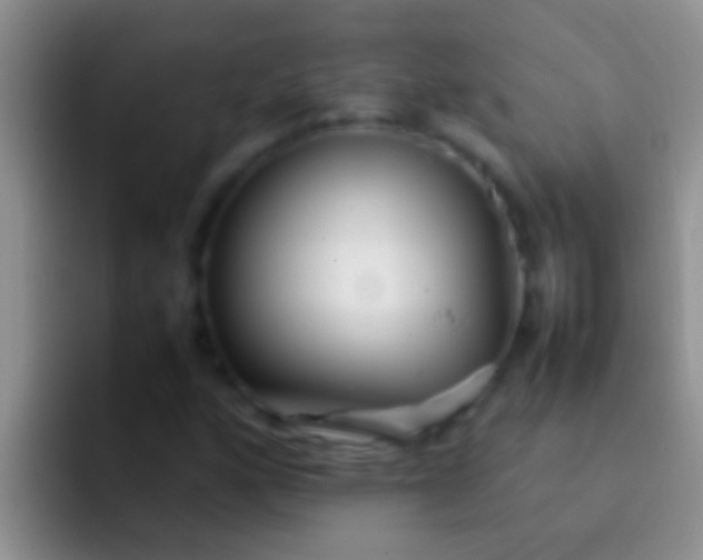 X0000092091160200709262117