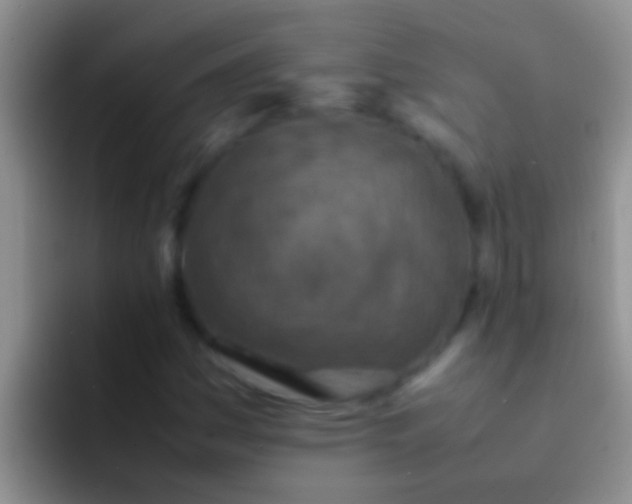 X0000092091161200709262117