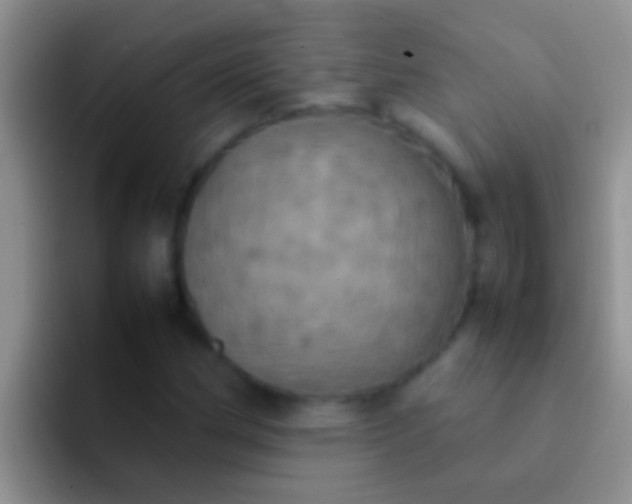 X0000092091162200709262117