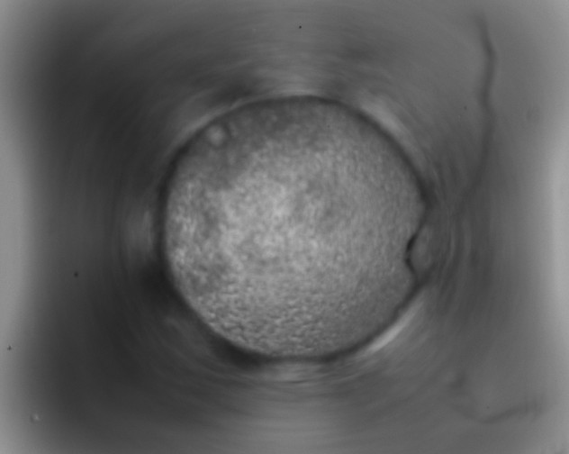X0000092091163200709262117