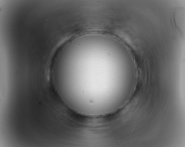 X0000092091165200709262117