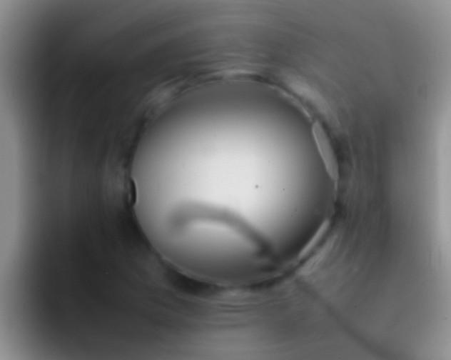 X0000092091169200709262117