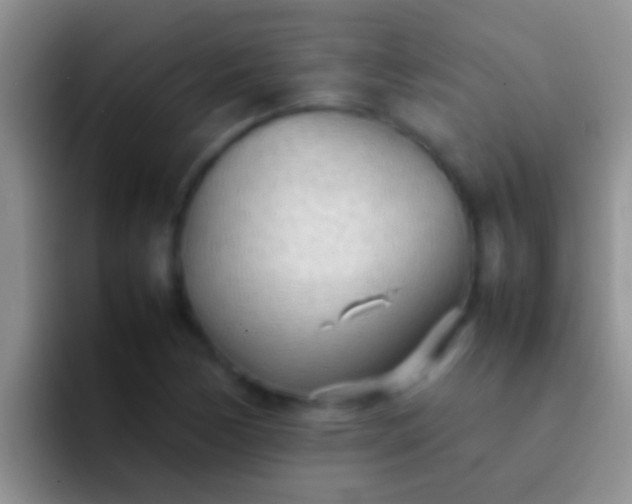 X0000092091170200709262117