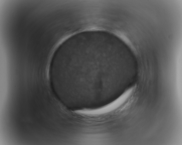 X0000092091173200709262117