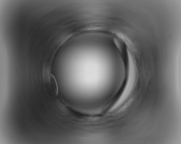 X0000092091177200709262117