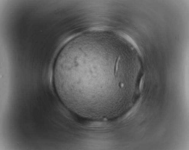 X0000092091179200709262117