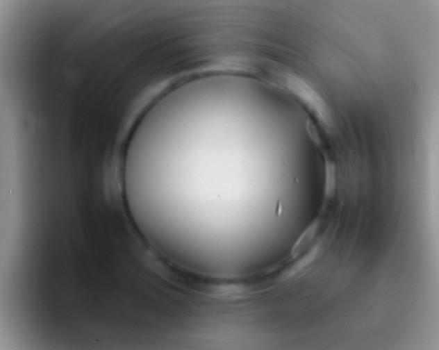 X0000092091180200709262117