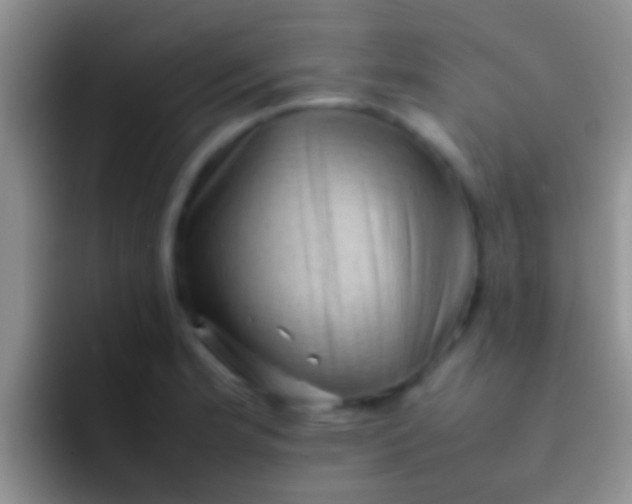 X0000092091181200709262117