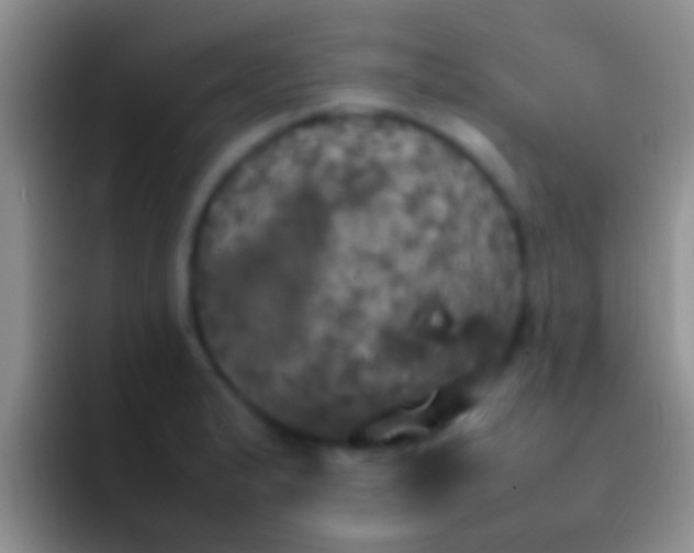 X0000092091183200709262117