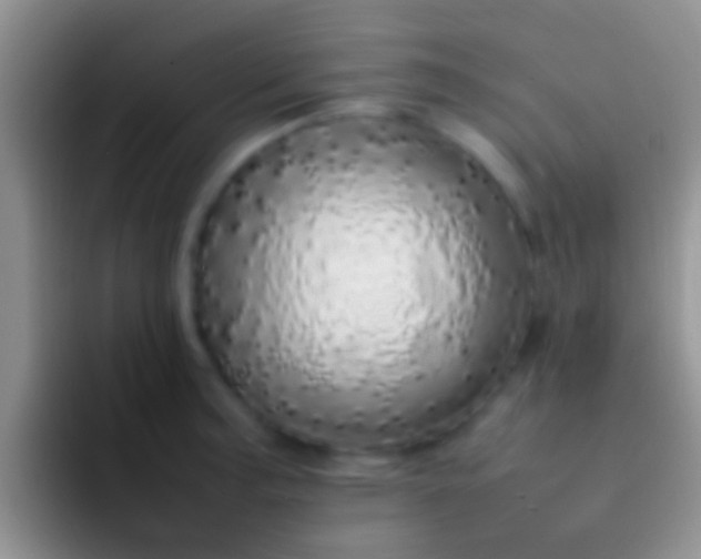 X0000092091187200709262117