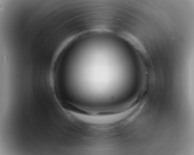X0000092091188200709262117