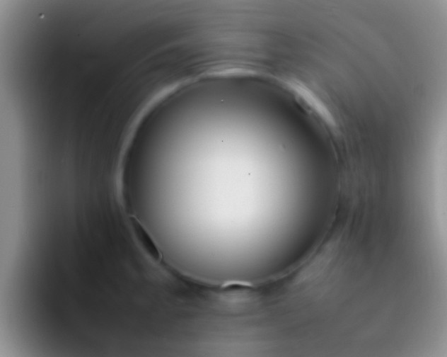 X0000092091189200709262117