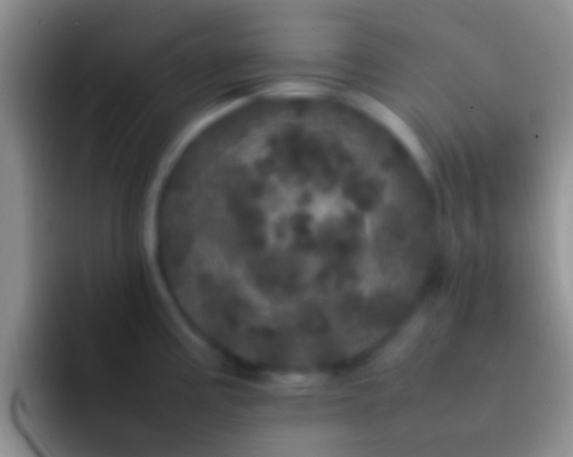 X0000092091195200709262117