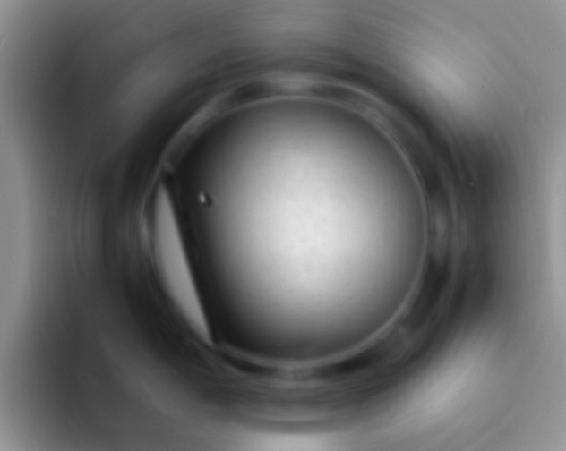 X0000092091198200709262117