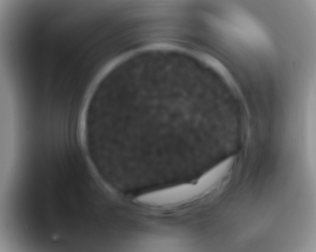 X0000092091199200709262117