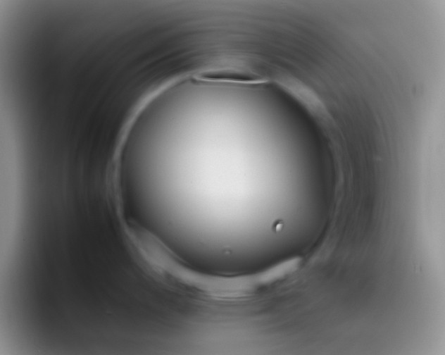 X0000092091200200709262117