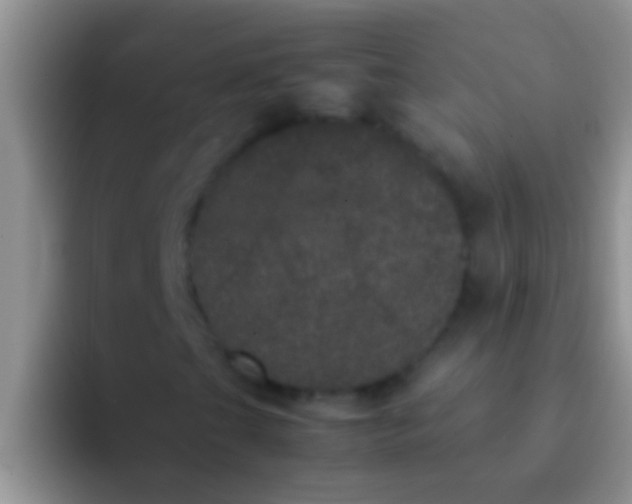 X0000092091201200709262116